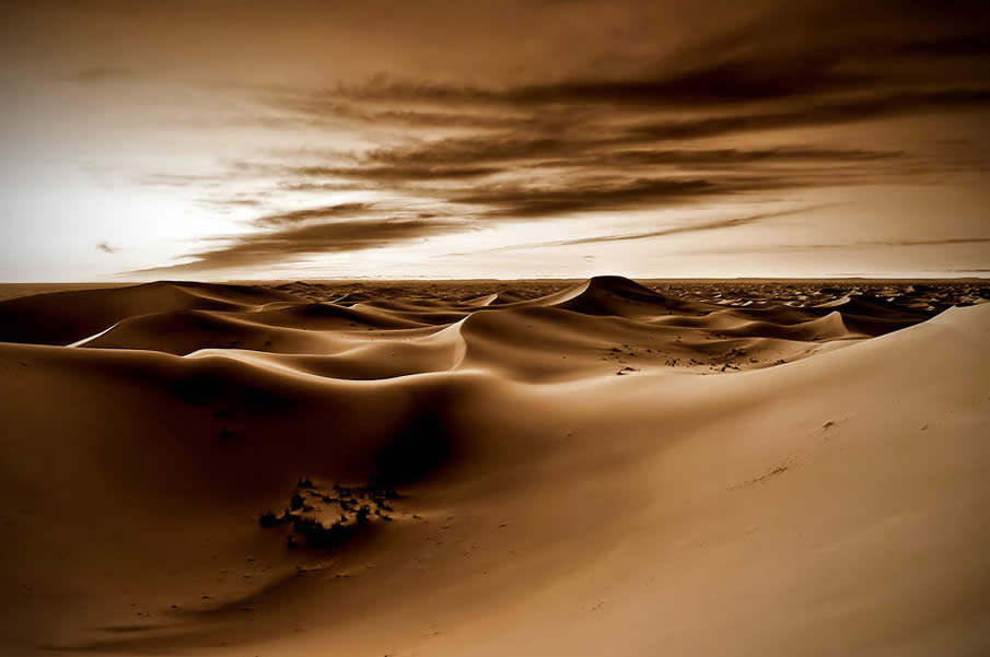 Morning Lights in the Sahara