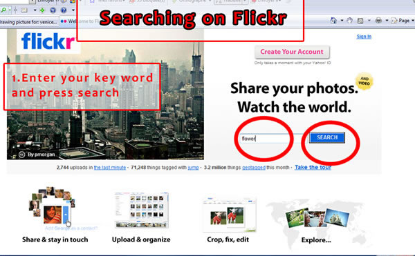 flickr stock photo search