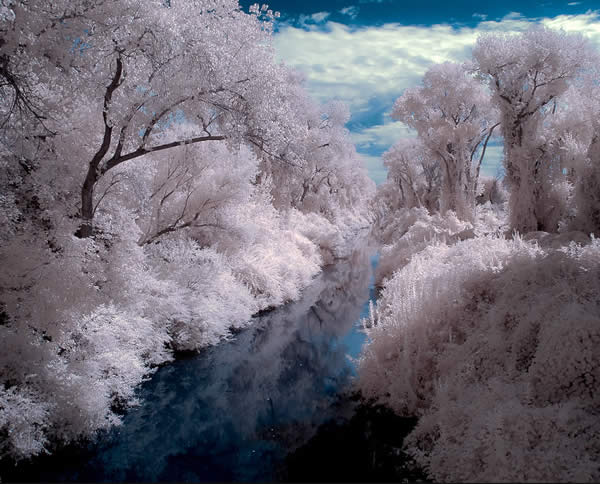 Stream (Infrared)