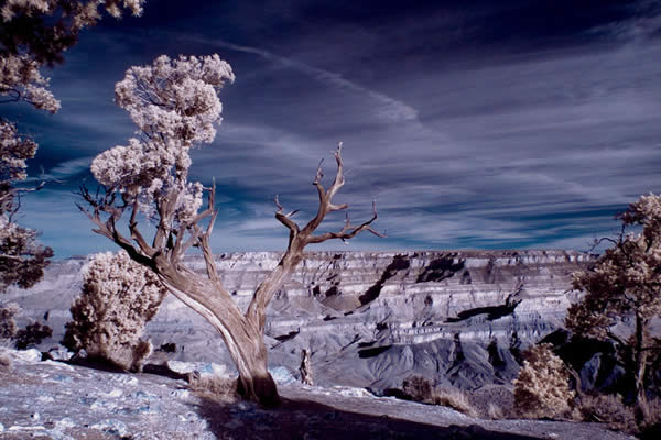 Infrared Canyon Grand