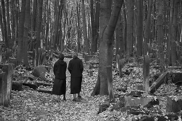 Jewish Cemetery, Warsaw V