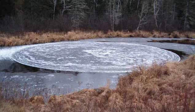 Ice  Circle - River Otter