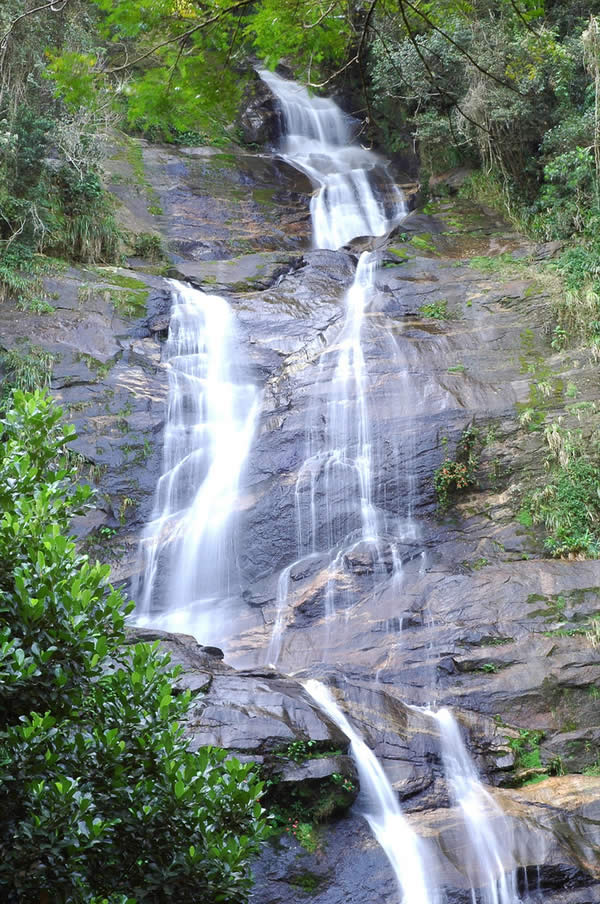 Rainforest Waterfall