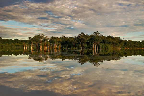 Amazon Morning