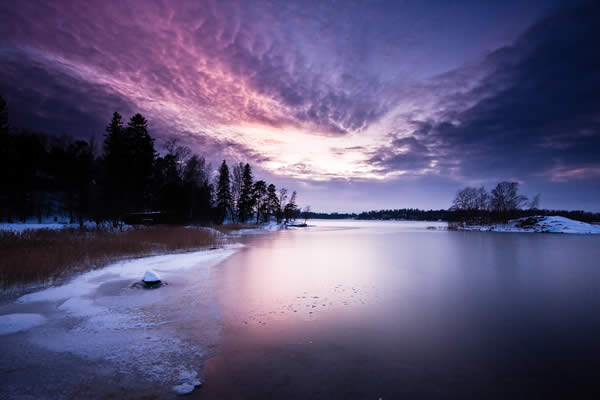 Velvet Reflections on Ice