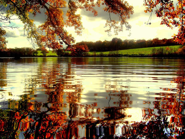 Seasonal Reflection