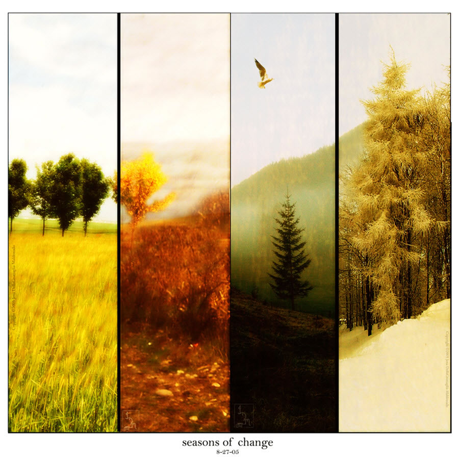 Seasons of Change