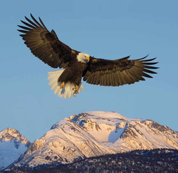 Above the Mountains