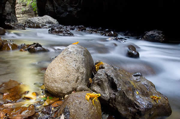 High Speed Photo of the River