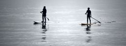 Paddle Boarders