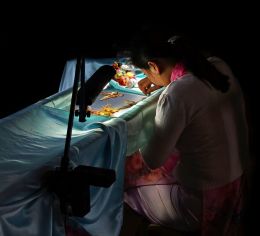 Seamstress by the LIght