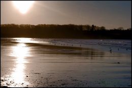 Beach at Dawn