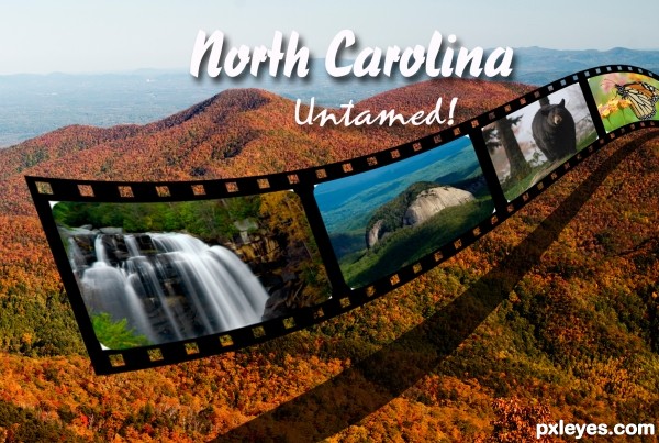 North Carolina Untamed!