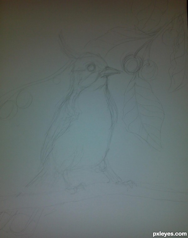 Creation of Bird With Cherries: Step 1