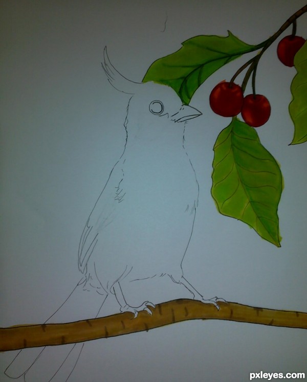 Creation of Bird With Cherries: Step 3