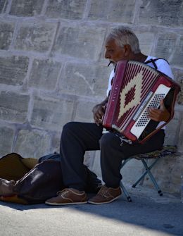 Accordian Player