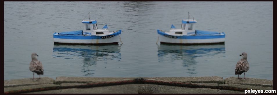 The seagull and the boat