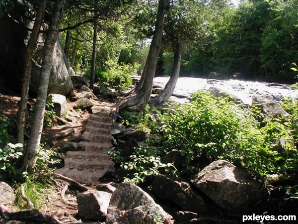 Creation of Sun-dappled Stairs to the Fall: Step 5