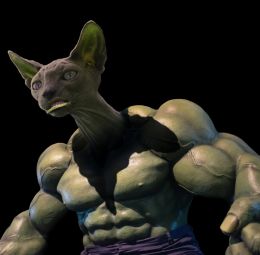 Hulky Cat