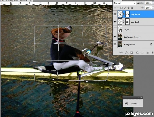 Creation of Rowing for Rawhides: Step 4