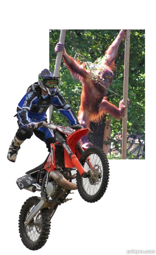 Creation of Monkey on MOTORBIKE: Step 1