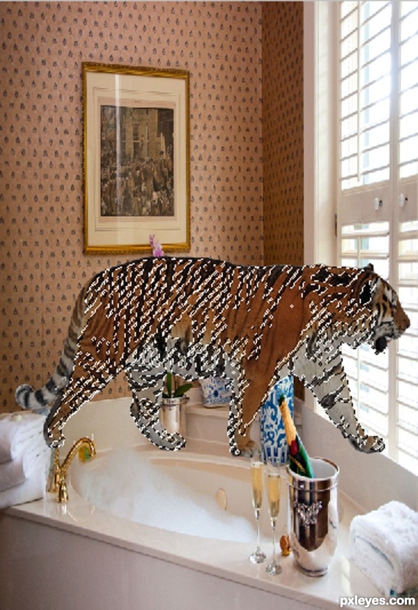 Creation of Tiger's bath: Step 3