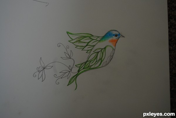 Creation of bird of "paradise": Step 3