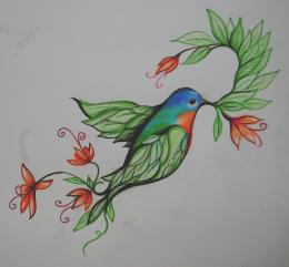 bird of "paradise"