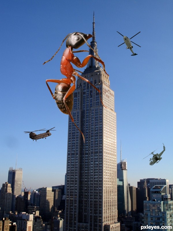 Creation of ANTzilla: Step 3