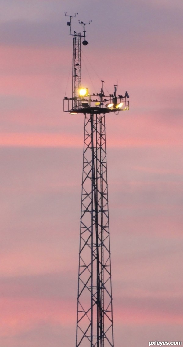 Harbour antenna