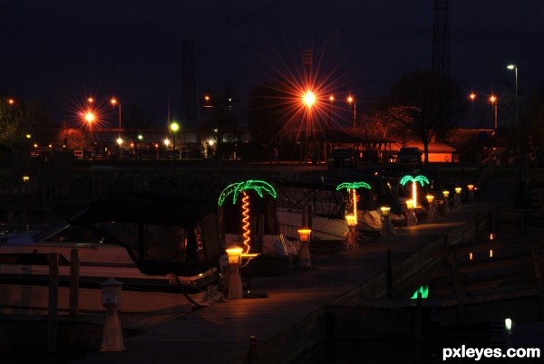 Marina At Night