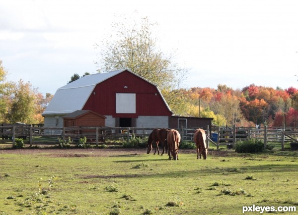 Fall Setting on the farm