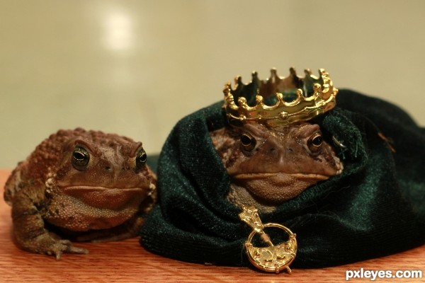King Toad and His Queen