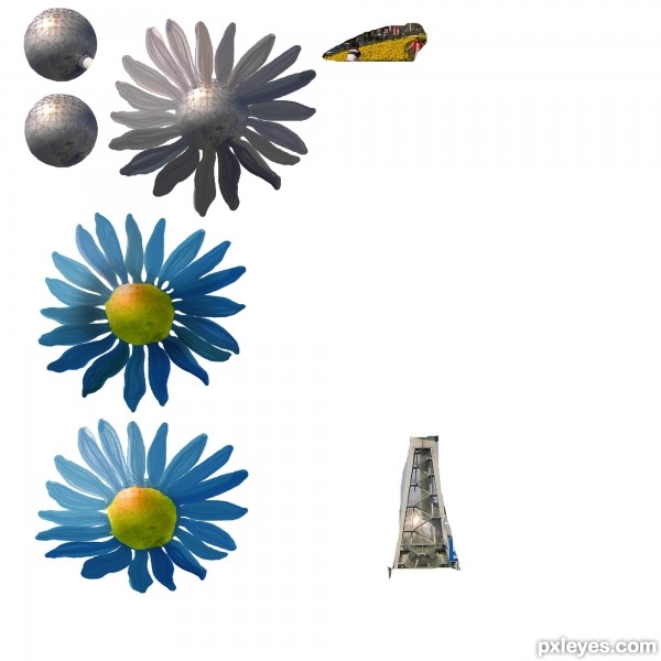 Creation of Blue Daisies: Step 1