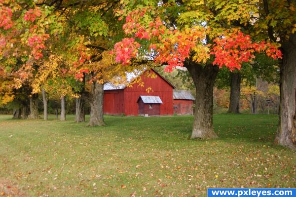 Barns Nobles Picture By Chamacoco For Autumn Trees Photography