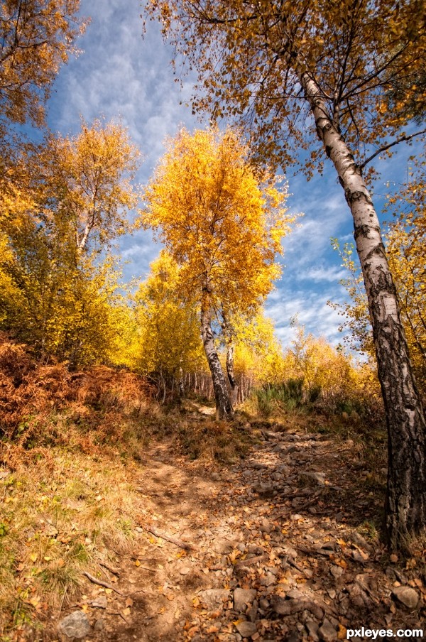 Walking path