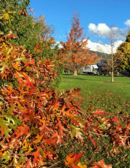 Autumn colours