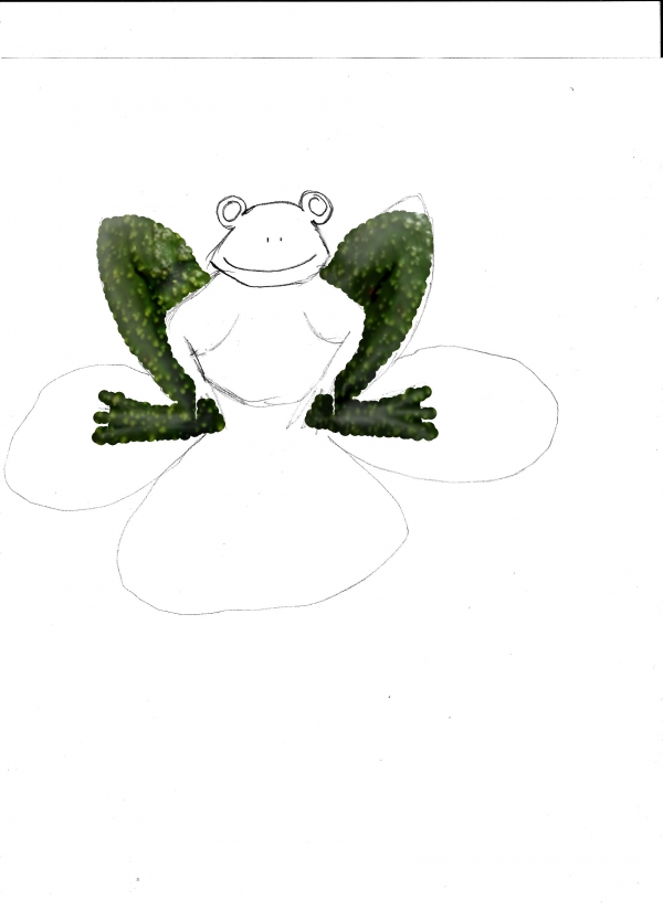 Creation of Avo Cado Frog: Step 4