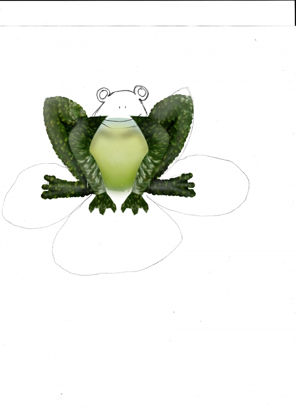 Creation of Avo Cado Frog: Step 10