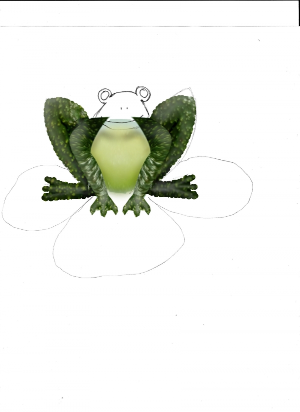 Creation of Avo Cado Frog: Step 11