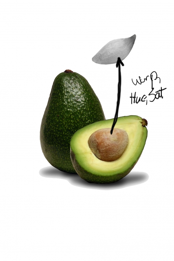 Creation of Avocado Alien: Step 1