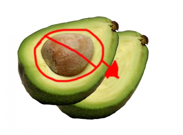 Creation of Avocado Child: Step 1