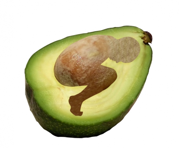 Creation of Avocado Child: Step 2