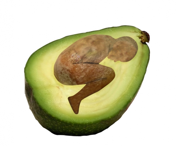 Creation of Avocado Child: Step 3