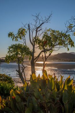 Sun on the estuary