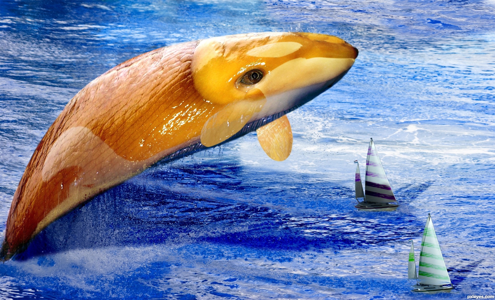 The Return Of The Snailwhale Picture By Widiar For Banana Slug Photoshop Contest Pxleyes Com