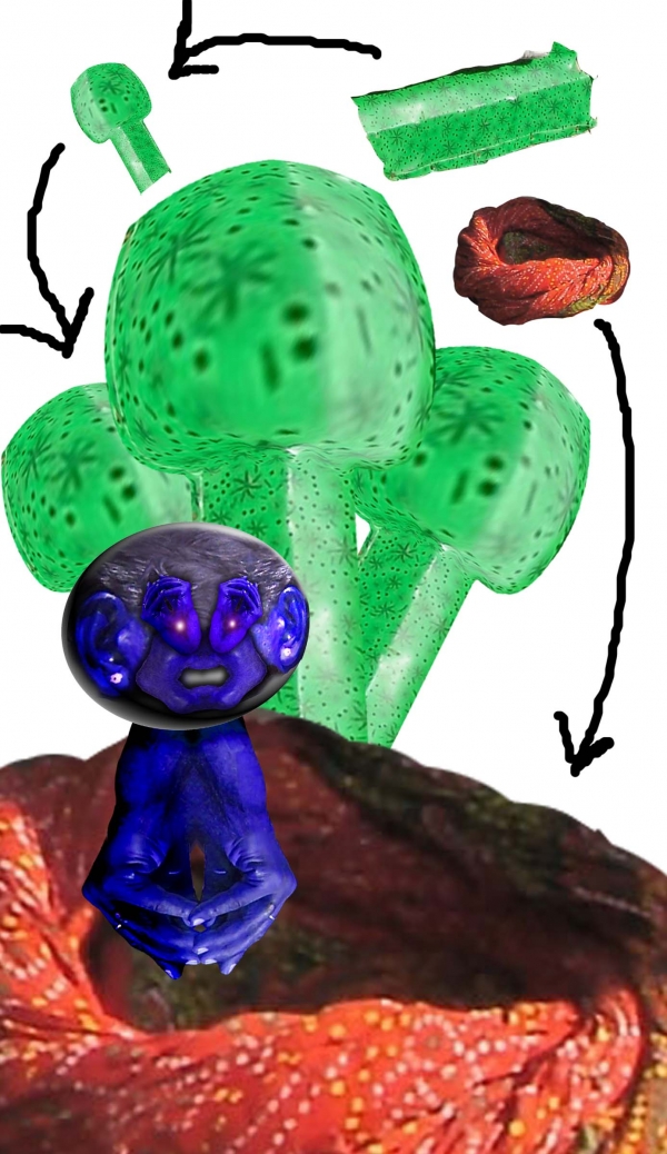 Creation of Green Mushrooms on Crack: Step 11