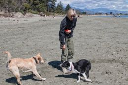 Dogs love the beach at any time of the year.