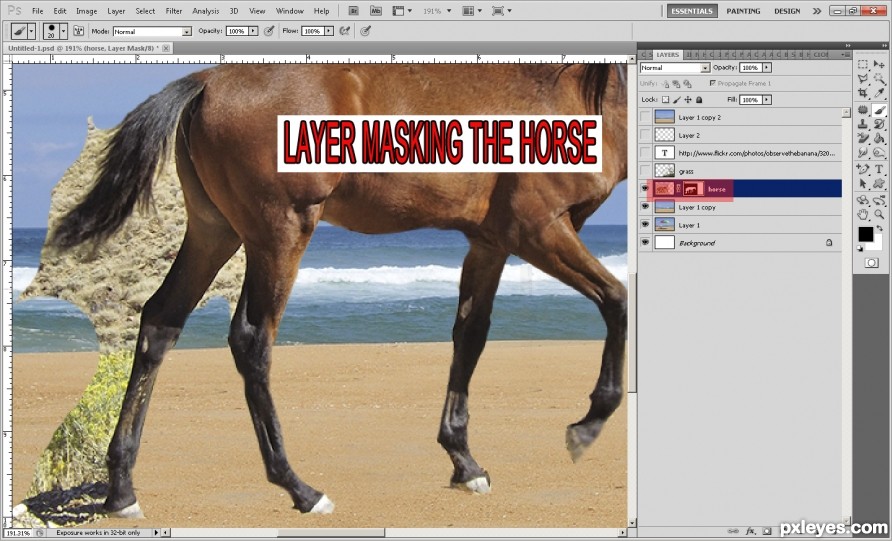 Creation of Wild Horse and Sea Oats: Step 1