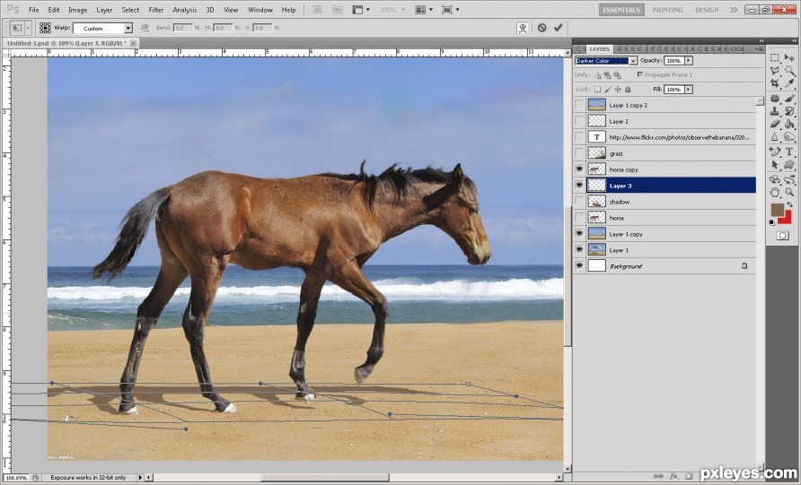 Creation of Wild Horse and Sea Oats: Step 2